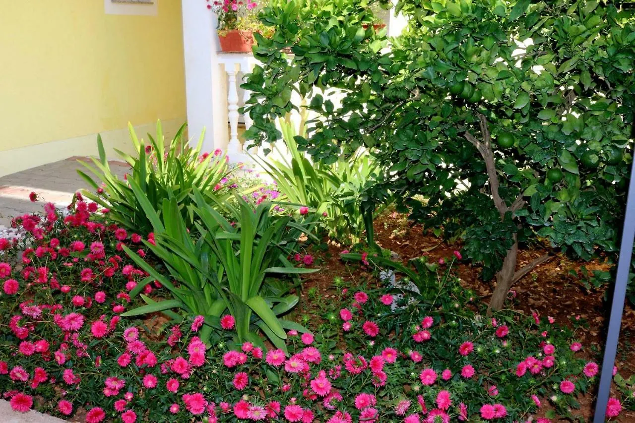 *** Guest house Guesthouse Mihovil Zadar Croatia