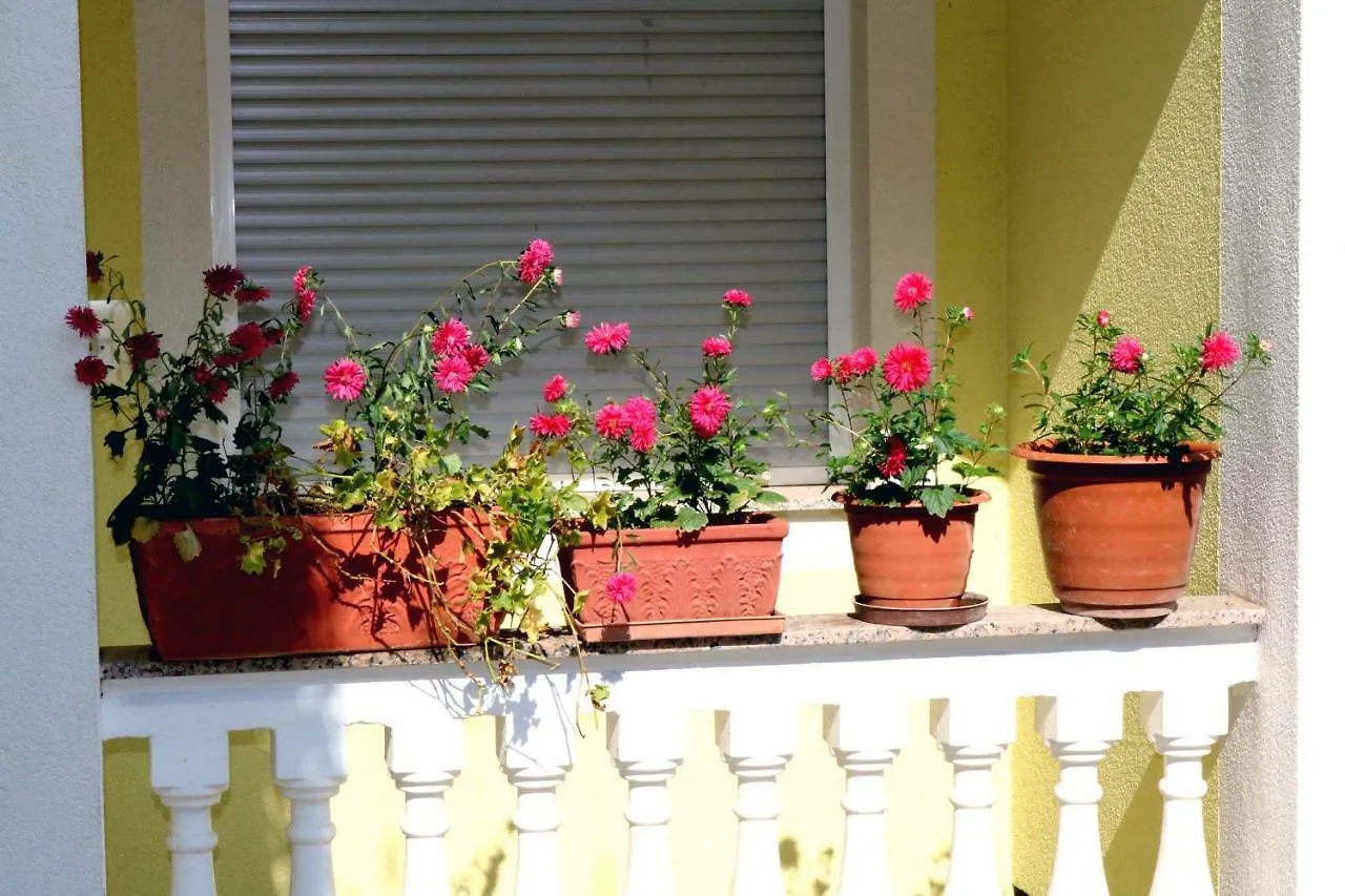 Guest house Guesthouse Mihovil Zadar