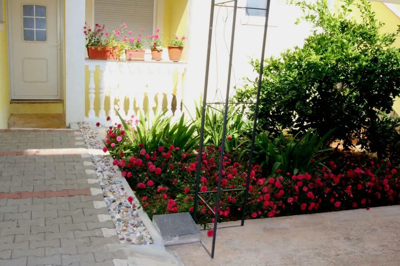 Guesthouse Mihovil Zadar 3*,