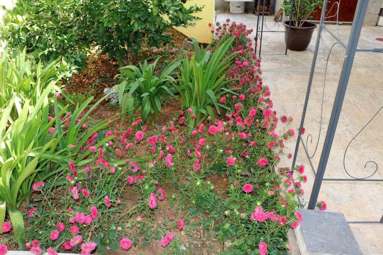 Guest house Guesthouse Mihovil Zadar